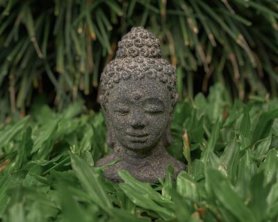 Zen Garden Stone Bowl Terrarium with Bonsai Cat Buddha Sculpture and Air  Plant/Cat Lover Gift - Yahoo Shopping