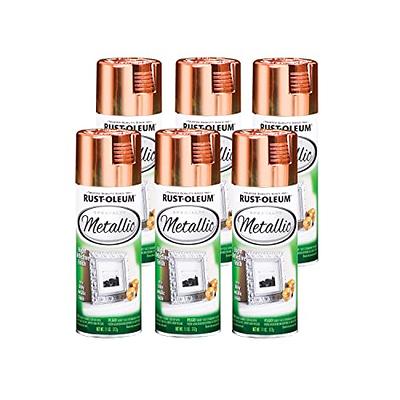 Rust-Oleum 7887830-6PK Specialty Appliance Epoxy Spray Paint, 12 oz, Stainless Steel, 6 Pack