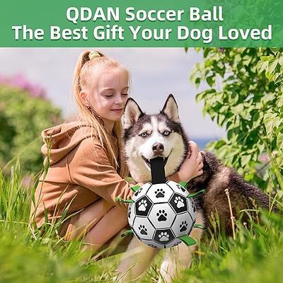 QDAN Dog Toys Soccer Ball, Interactive Dog Toys for Tug of War