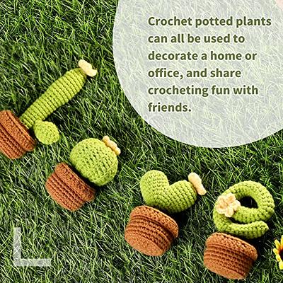 Yizzvb Crochet Kit for Beginners, 4 PCS Potted Kits with Yarn, DIY Crafts  for Adults, Knitting Starter Kit with Step-by-Step Instructions and Video  Tutorials, Crochet Kit for Beginners (Green-B) - Yahoo Shopping