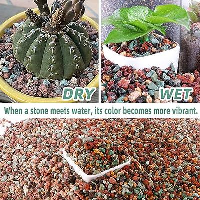 Small Rocks for Plants Bonsai Soil Cactus Potting Soil and