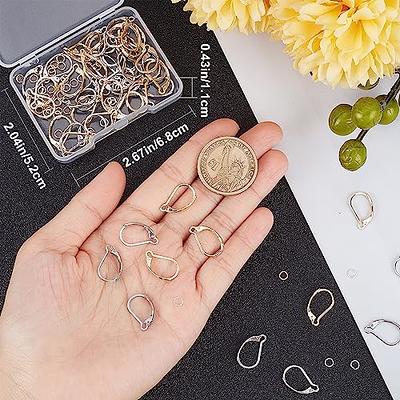 Earring Hooks Silver 120PCS, Hypoallergenic Stainless Steel