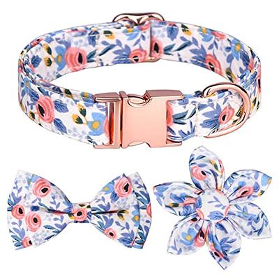 Dog Collar For Small Dogs - Special Design Puppy Collar Cute Small