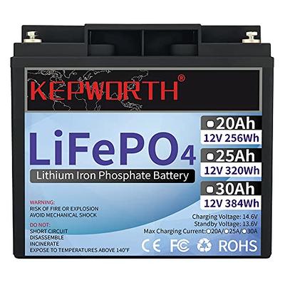 Redodo 12V 200Ah LiFePO4 Battery Lithium Battery with 100A BMS,  Rechargeable 4000-15000 Deep Cycles & 10-Year Lifetime, Perfect for RV,  Camping, Boats, Trolling Motor, Solar Home System, etc - Yahoo Shopping