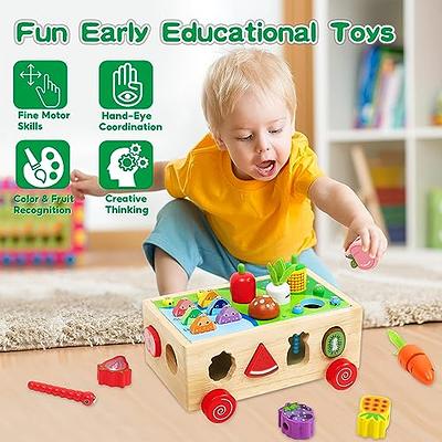  Toddlers Montessori Toys for 1 2 3 Year Old, Wooden Educational  Shape Sorting Toys Gifts for Kids 2-4 Girl Boy Baby, Preschool Learning  Fine Motor Skills Game, Carrot Harvest Toddler Toys