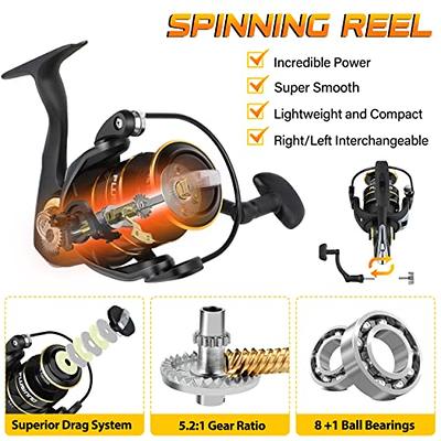 Sougayilang Fishing Pole Kit, Telescopic Fishing Rod and Reel Combo with  Spin