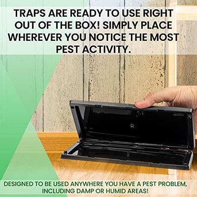 Qualirey 1 Sticky Mouse Trap Mouse glue Traps Sticky Rat Trap That Work for  Trapping Snakes Rats Spiders Roaches Rodents 47 Inch La