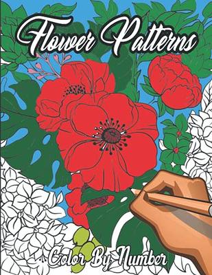 Color By Numbers Coloring Book For Kids Ages 8-12: Large Print Birds,  Flowers, Animals and Pretty Patterns Color by Number coloring Books (kids