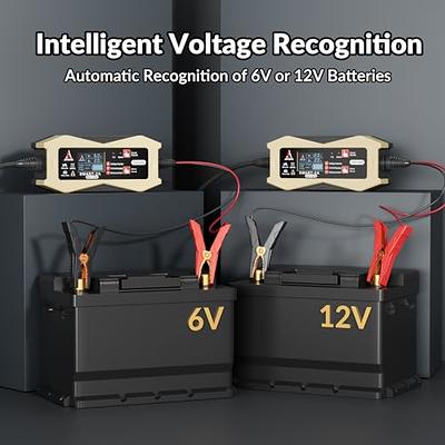 Smart 6V & 12V battery charger