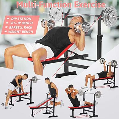 Adjustable Weight Bench Press with Squat Rack Folding Multi-Function Dip  Station for Full Body Workout Home Gym Strength