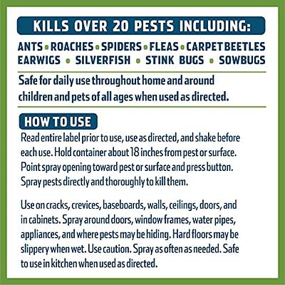 BUGMD Pest Control Essential Oil Concentrate 3.7 oz - Plant Powered Bug  Spray, Kills Bugs Spiders Fleas Ticks Roaches, Ant Spray Indoor, Ant Killer