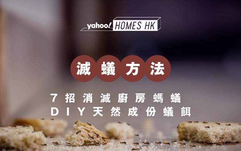 滅蟻方法丨7招消滅廚房螞蟻 DIY天然成份蟻餌