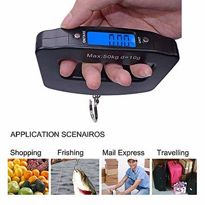  BAGAIL BASICS Digital Luggage Scale, 110lbs Hanging Baggage  Scale with Backlit LCD Display, Portable Suitcase Weighing Scale, Travel  Luggage Weight Scale with Hook, Strong Straps for Travelers Fushica