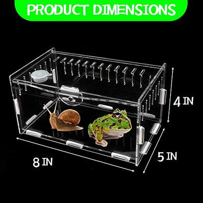  Balacoo Box Jumping Spider Breeding Box Tarantula