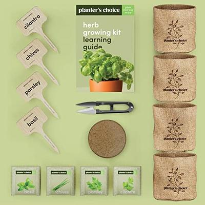 Bonsai Starter Kit - Gardening Gift for Women & Men - Bonsai Tree Growing  Garden Crafts Hobby Kits for Adults, Unique DIY Hobbies for Plant Lovers