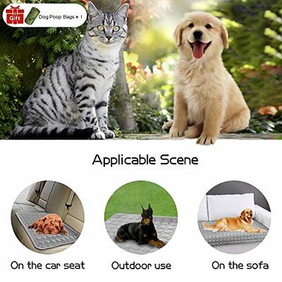 Summer Cooling Mat & Sleeping Pad- Water Absorption Top,Waterproof Bottom,  Materials Safe,Easy Carry, EZ Clean,Keep Cooling for Pets, Kids and