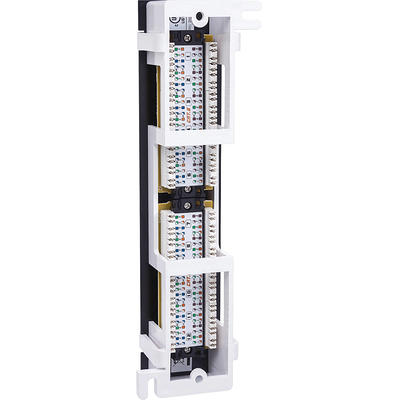 Intellinet 12-Port Cat6 UTP Wall-Mount Patch Panel 560269