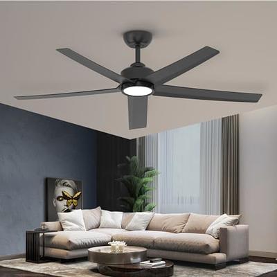 WWahuayuan 31.1 Inch Modern Ceiling Fan with Lights Remote Control