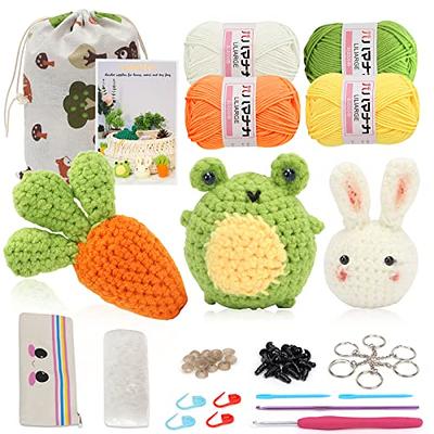 Yes sister Crochet Kit for Beginners Crochet Kit Animals with Easy