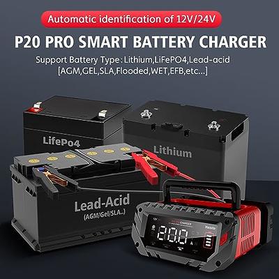  TPE Automatic Battery Charger, 6V 12V Battey Charger Maintainer  2 8 12 Amp Smart Battery Charger Battery Desulfator for Car, Motorcycle,  AGM Battery : Automotive