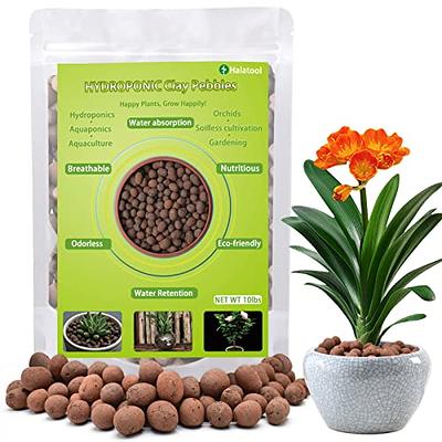  Rurtsva Natural Organic Clay Pebbles, 5LBS 8mm-18mm