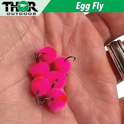 Thor Outdoor Pink Blood Dot Egg Fly - 6 Pc Set, Hook Size 10 - BH Wet Fly  Fishing Flies for Trout, Salmon, Panfish, Bluegill - Yahoo Shopping