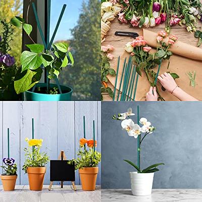 16 Inch Bamboo Sticks Decor For Plants Bamboo Garden Stakes With