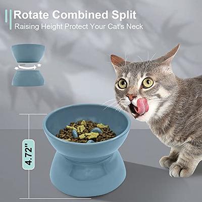 Elevated Cat Bowl, Ceramic Slow Feeder Cat Puzzle Food Bowl Water