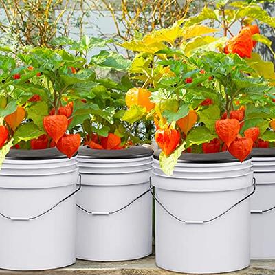 3.5 Gallon Bucket - Black, Hydroponic Buckets