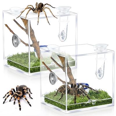 SXYYDSG 2set Tarantula Enclosure Accessories, Jumping Spider Hide, Spider Terrarium Decoration Praying Mantis Habitat Jumping Spider Climbing Mesh