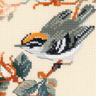 Riolis Cross Stitch Kit Orange Mood 