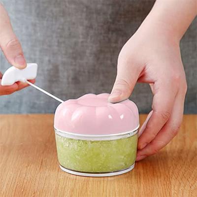 Manual Food Chopper, Mini Vegetable Onion Garlic Chopper Hand Pull