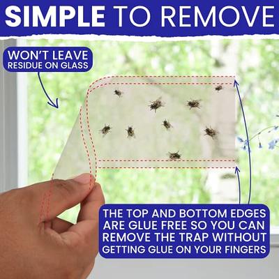  Window Fly Traps Indoor Clear 15pk Strips Indoor. The Only  Double Strip Trap for Home. Paper Catchers Inside Home Flypaper House  Killer Bug Catcher : Patio, Lawn & Garden