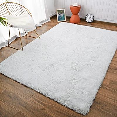 Andecor Soft Fluffy Bedroom Rugs, 4 x 6 Feet Indoor Shaggy Plush Area Rug for Boys Girls Kids Baby College Dorm Living Room Home Decor Floor Carpet