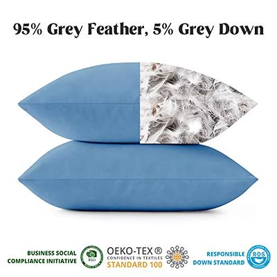 Cheer Collection Set of 2 Down and Feather Throw Pillow Insert