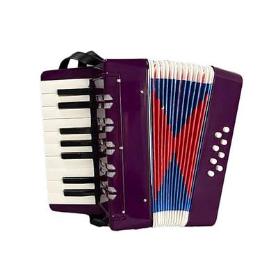 BORIYAM Accordion 17 Keys 8 Bass,Toys for Children and Adult Beginners,  Accordion Instrument,Early Learning Enlightenment Instrument (Purple) -  Yahoo Shopping