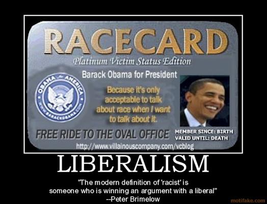 liberalism-obama-president-taxes-democrats-race-racist-racis-demotivational-poster-1232778698.jpg.cf.jpg