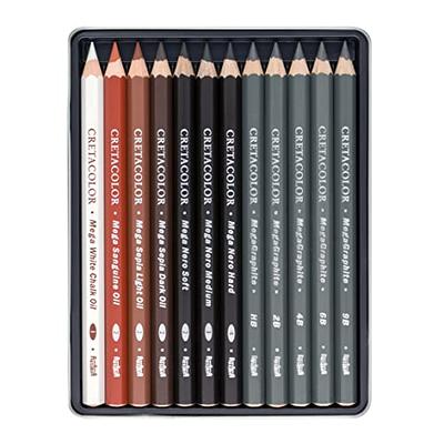 Dyvicl White Charcoal Pencils Drawing Set, 6 Pcs Sketch Highlight