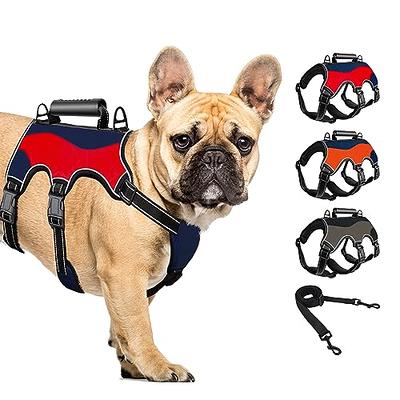  SlowTon Dog Jacket with Harness Built in, Waterproof