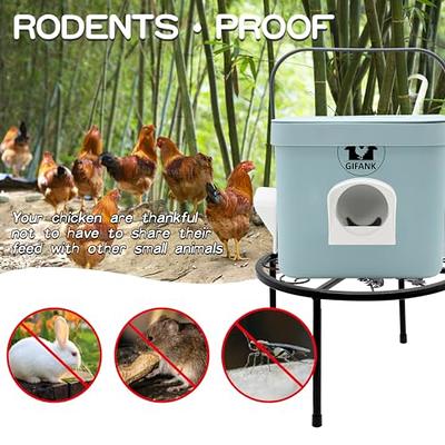 Small Chicken Flock Feeder/Waterer Set - My Pet Chicken