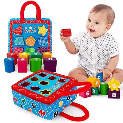 Sensory Toys, Baby Shape Sorter Toy, Montessori Developmental Toys for 1-3  Year Old, Storage Cube Bin & 12 Sensory Shape Blocks, Early Learning