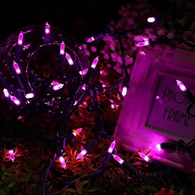 Brizled Color Changing Christmas Lights, 33ft 100 LED Christmas