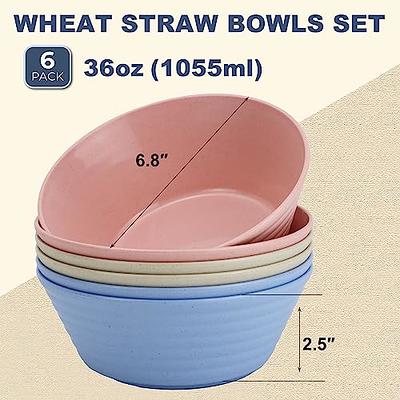 Wheat Straw Bowls Set Unbreakable Large Cereal Bowls Set of 6