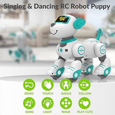 STEMTRON Programmable Interactive & Smart Dancing Remote Control Robot Dog Toy(Pink)