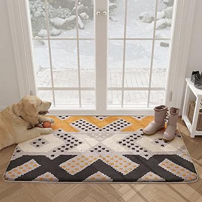 Color&Geometry Front Door Rug for Entryway to Catch Dirty, Outside Door  Mats for Entry Heavy Duty Non Slip, Front Door Mat for Welcome, 3'X5'  Indoor