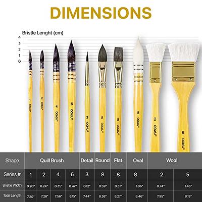 VIKEWE Professional Paint Brushes Set - 16 PCS Paint Brush with Oil  Painting Knife and Sponge, Suitable for Acrylic, Watercolor, Oil and  Gouache