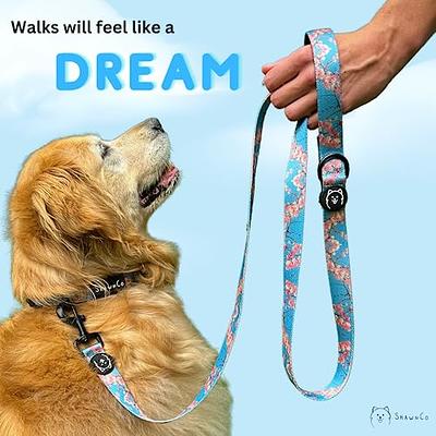 1 Set - Dog Collar & Leash Kit Any Size From 3/8 To 3/4 All Hardware  Webbing - Yahoo Shopping