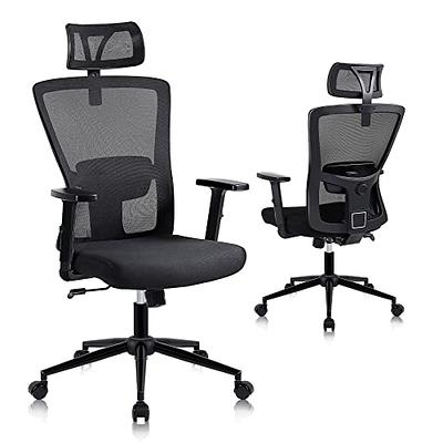 Lumbar Cushion Office Back Support - Yahoo Shopping