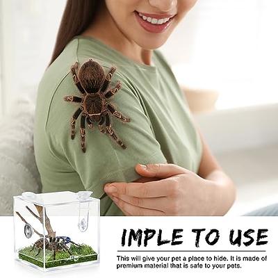 Jumping Spiders Home Furnishings & Accessories