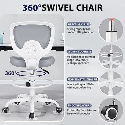 Ergonomic Office Chair, Primy Computer Desk Chair